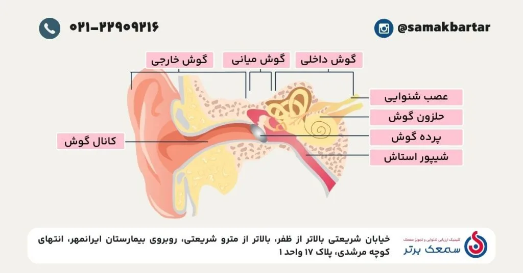 سیستم شنوایی چگونه کار می کند